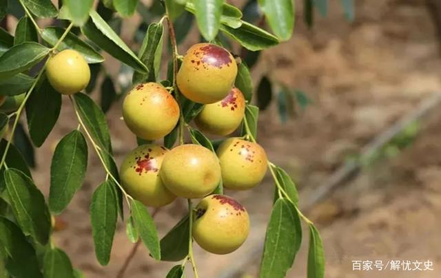 包含社区盾赛程吃紧，波士顿凯尔特人国际比赛日主帅复盘，质疑声仍在，训练强度明显提升的词条-华体会官网